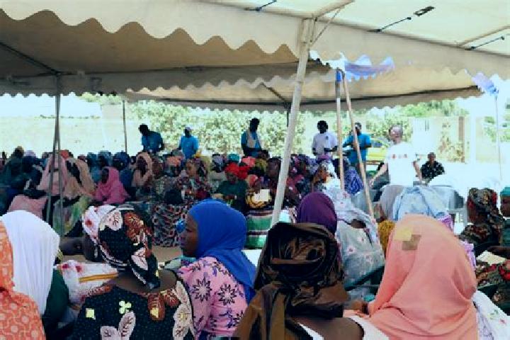 1 Reel - Irish Wonders online slot