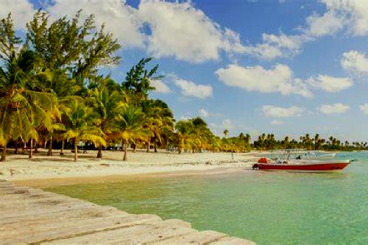 African King slot