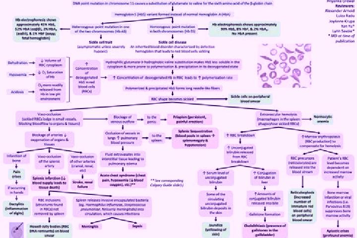 Book of Oasis online slot