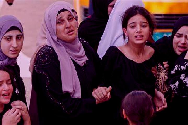 Book Of Waifu slot