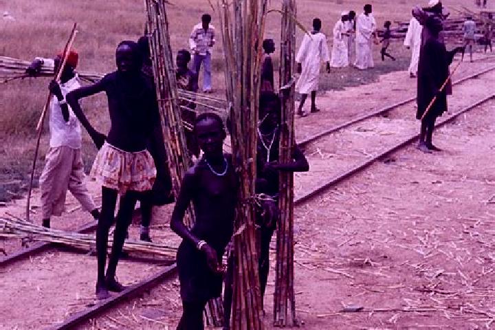 Chicken Shot online slot