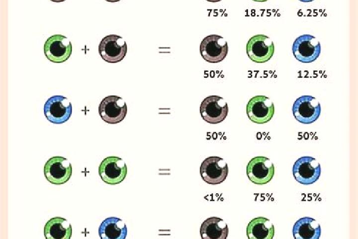 Declaration of Spindependence slot