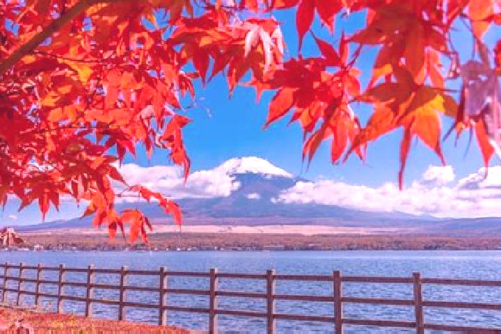 Fall or Fortune slot