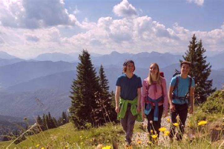 Feline Fortune slot game