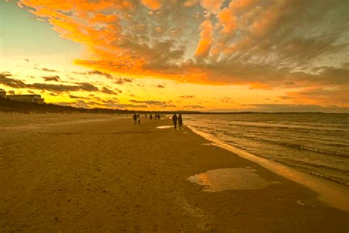 Fortune Miner online slot