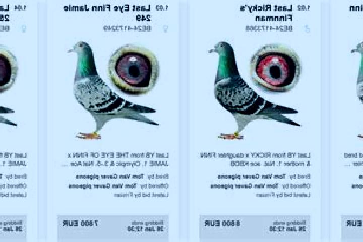 Fruiti X slot machine