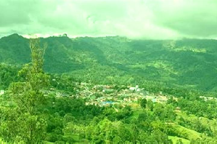 Go High Safari slot machine