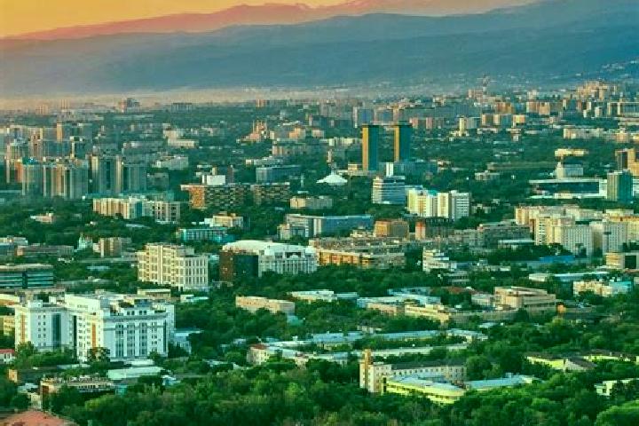 Golden Kiwi slot game