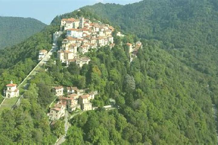 Gorgonia slot