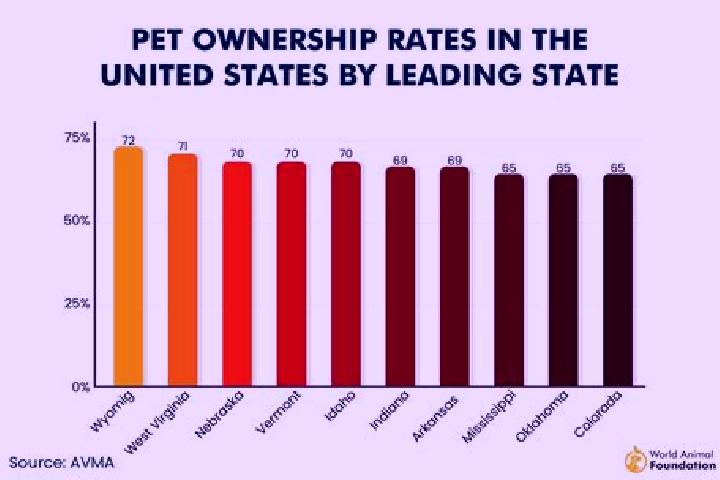 Leonardo s Code slot game