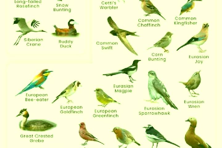 Loki’s Riches slot