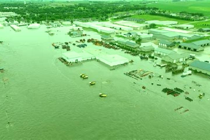 Octo Tamer slot machine