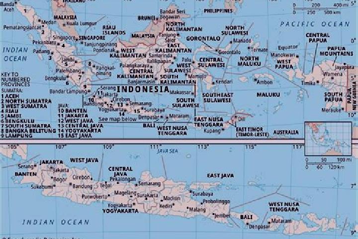 Reindeer Wild Wins XL online slot