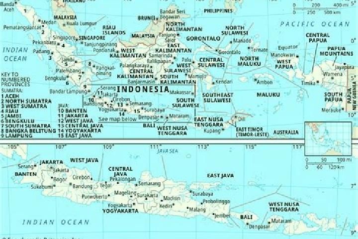 Royal Rio Birds slot machine