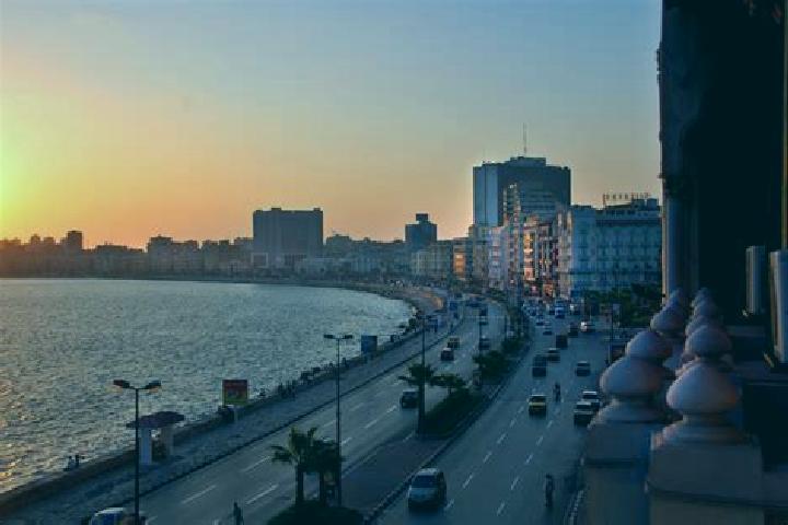 Shake The Money Tree 2 online slot