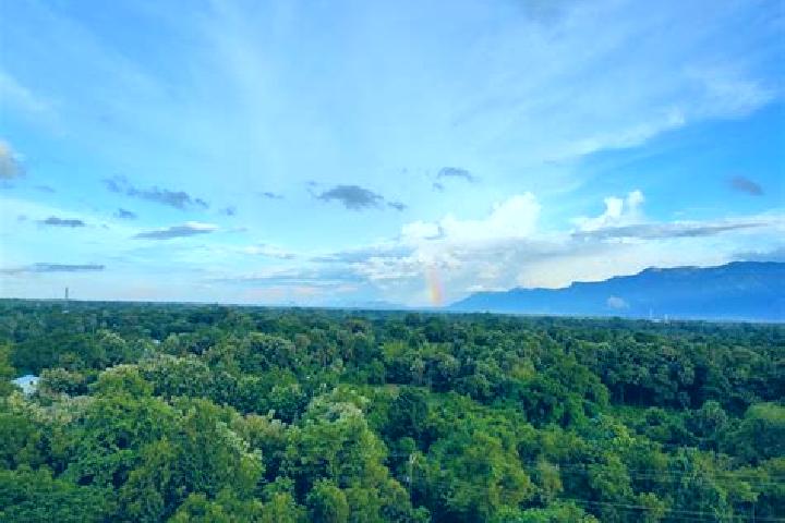 Terrific Tiger Coin Combo slot