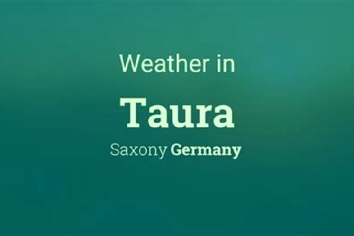 The Falcon Huntress slot machine