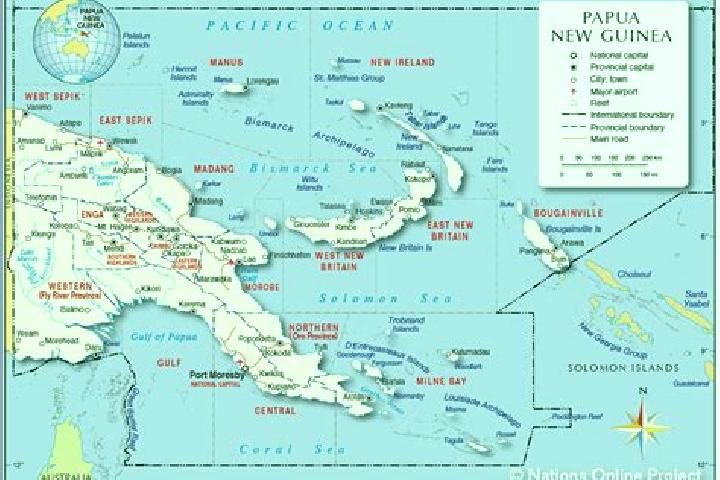 The Wild Protectors slot