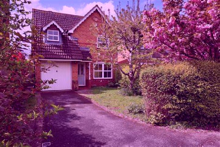 Wipeout slot game
