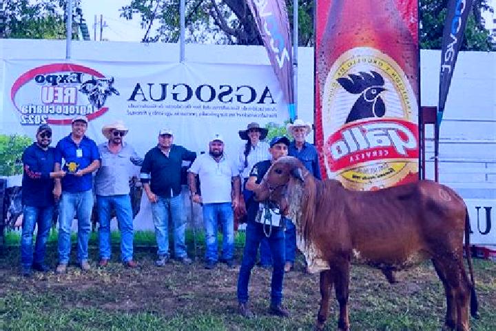 Wizarding Wins online slot
