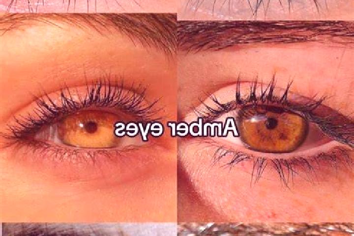 Zeus King of Gods online slot